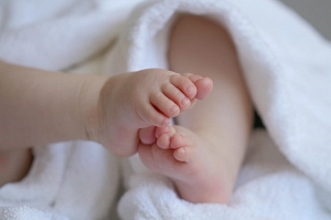 marjonhorn-baby-6823431_1280.jpg