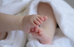 marjonhorn-baby-6823431_1280.jpg
